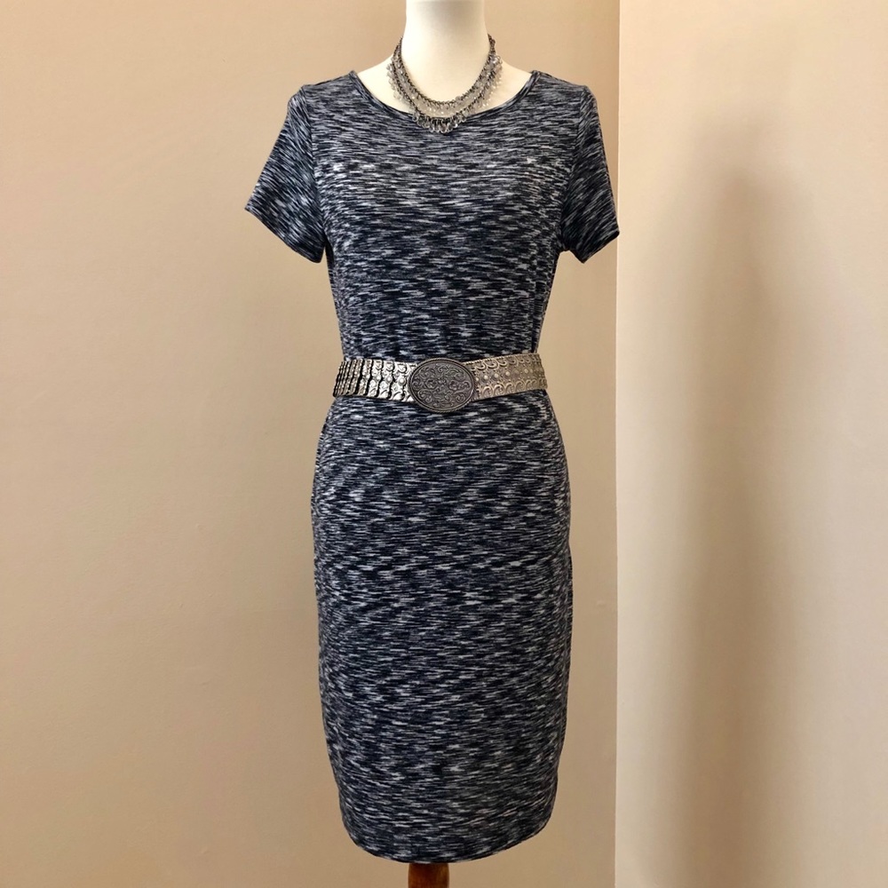 EUC - worn once. The Limited dress.